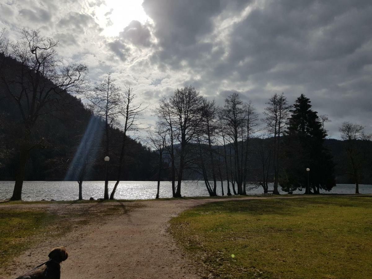 Apartmán A 2 Pas Du Lac Xonrupt-Longemer Exteriér fotografie