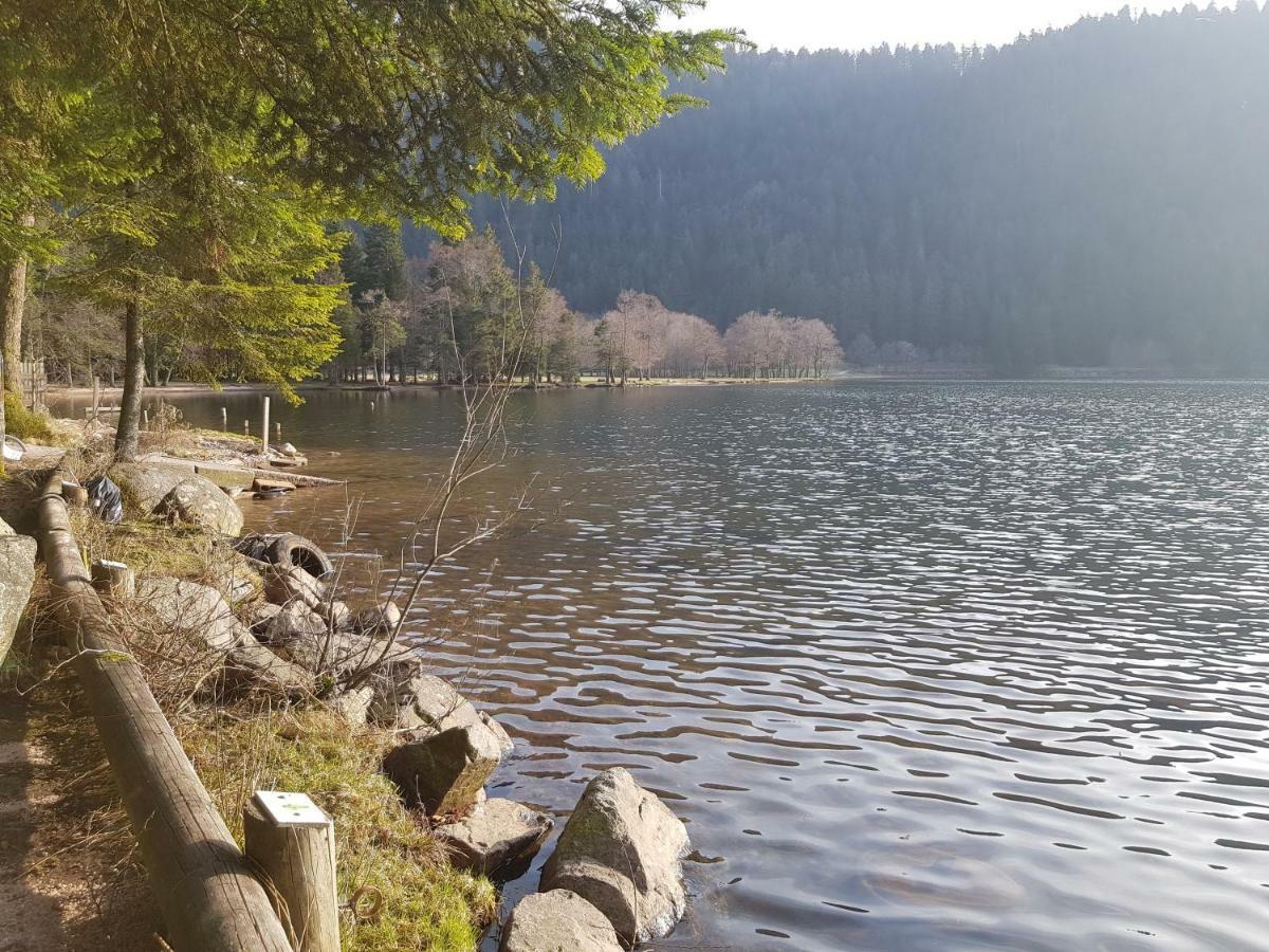Apartmán A 2 Pas Du Lac Xonrupt-Longemer Exteriér fotografie
