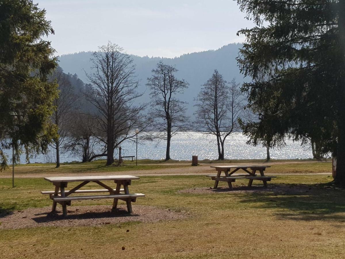 Apartmán A 2 Pas Du Lac Xonrupt-Longemer Exteriér fotografie