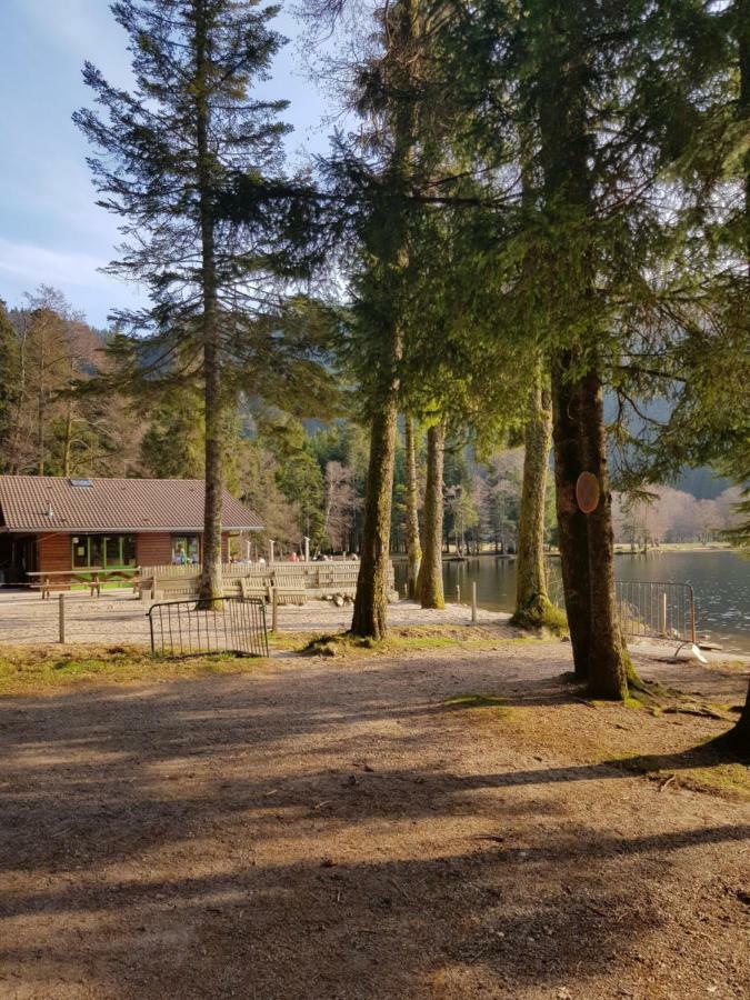 Apartmán A 2 Pas Du Lac Xonrupt-Longemer Exteriér fotografie
